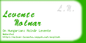 levente molnar business card