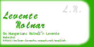 levente molnar business card